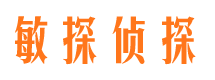 汉阳侦探调查公司